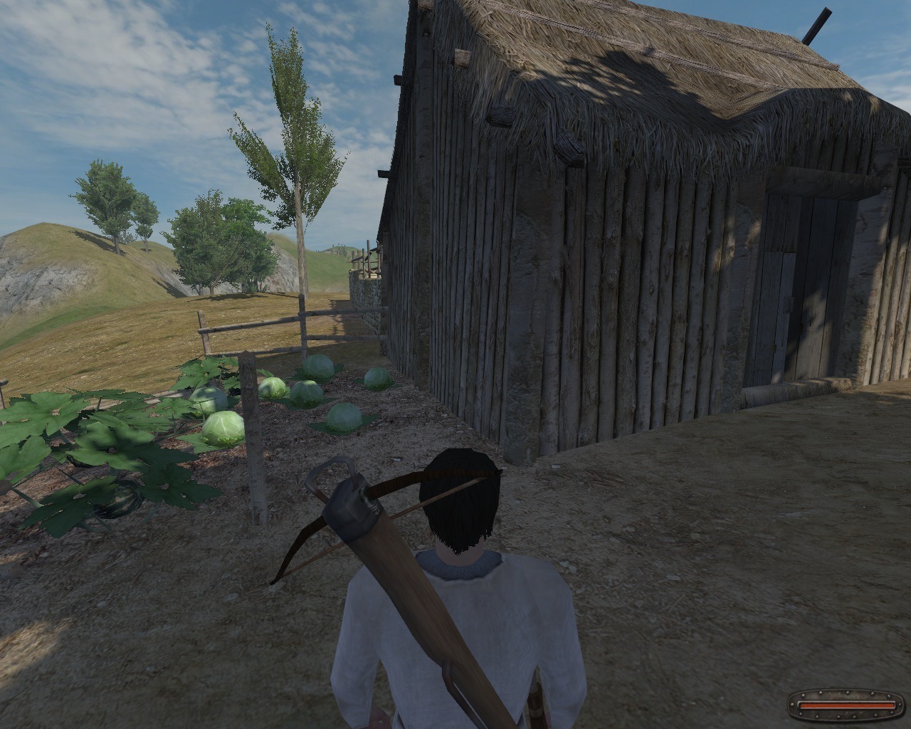 Mount & Blade