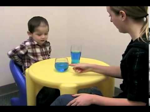 Constructivisme et socioconstructivisme - Expérience de Piaget